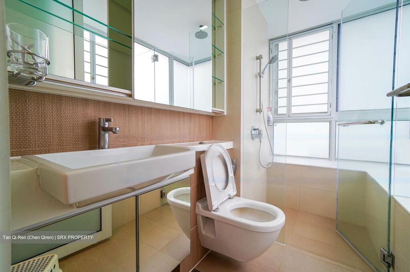 The Regency At Tiong Bahru (D3), Condominium #568196091